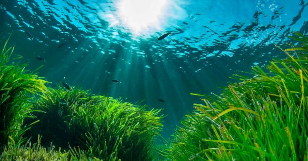 Anchoring in Ibiza and Formentera