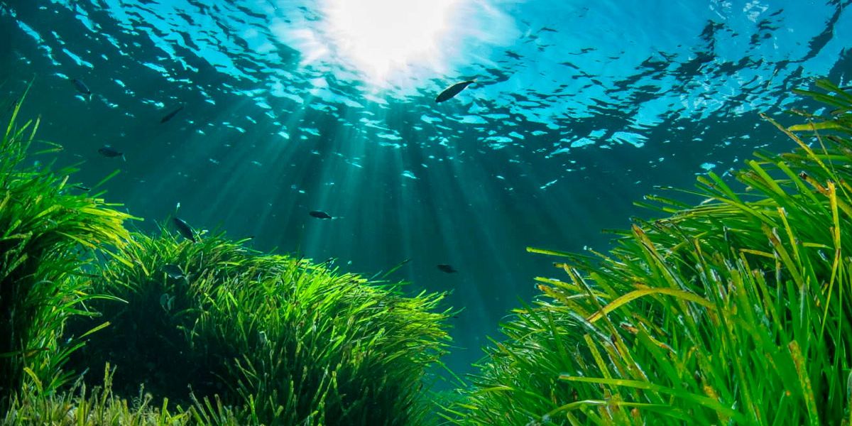 Anchoring in Ibiza and Formentera